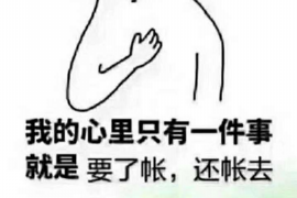 惠州企业清欠服务